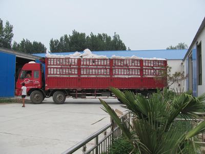 发货现场