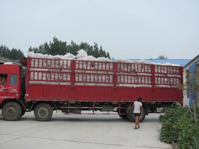 发货现场
